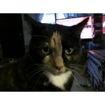 Image 5 of customer photos