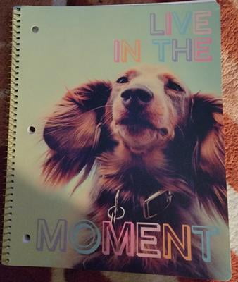 Danya B Black Dachshund Dog Bookend Set