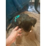 Image 5 of customer photos