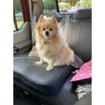 Image 2 of customer photos