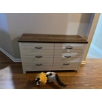 Image 5 of customer photos