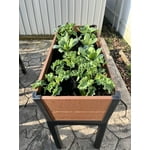 Image 4 of customer photos
