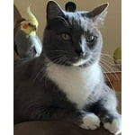 Image 5 of customer photos