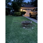 Image 4 of customer photos