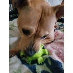 Image 6 of customer photos