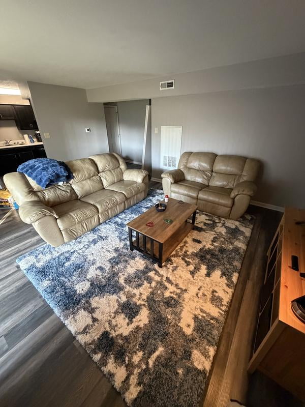 Customer reviews for Drexel Lenox Shag Area Rug, Assorted Designs