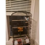 Image 1 of customer photos