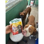 Image 7 of customer photos