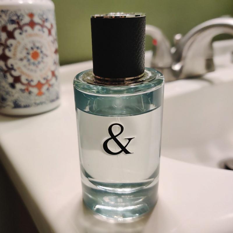 Tiffany & Love Eau de Toilette for him 3.0 OZ - Walmart.ca