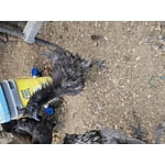 Image 3 of customer photos