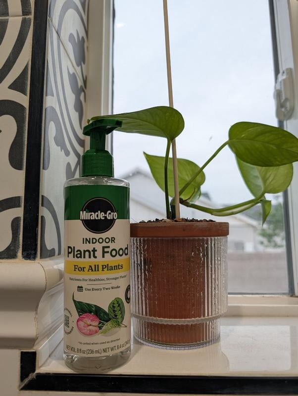 Miracle-Gro, Indoor Plant Food, 8 oz. 2-pack, Liquid Houseplants -  Walmart.com