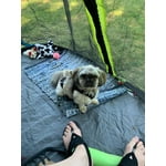 Image 5 of customer photos