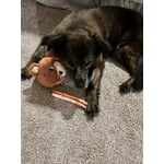 Image 5 of customer photos