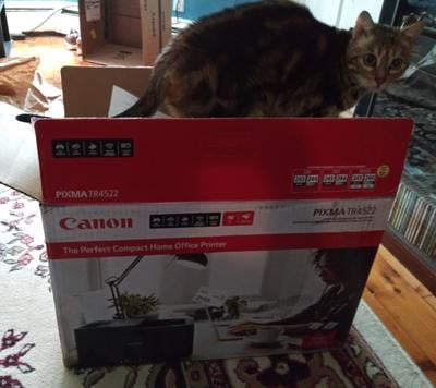 canon tr4522 walmart