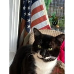 Image 3 of customer photos