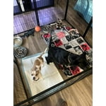 Image 1 of customer photos