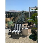 Image 5 of customer photos