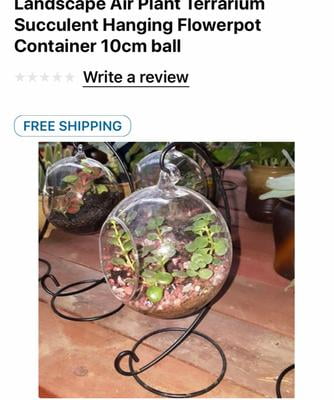 MeterMall Creative Clear Glass Ball Vase Micro Landscape Air Plant Terrarium Succulent Hanging Flowerpot Container