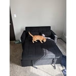 Image 3 of customer photos