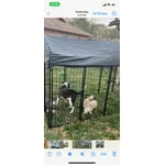 Image 4 of customer photos