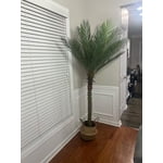 Image 4 of customer photos