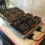 Image 2 of customer photos