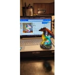 Image 3 of customer photos