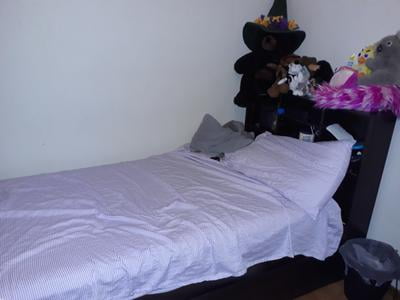 teddy's toy box bed in a bag