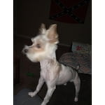 Image 1 of customer photos