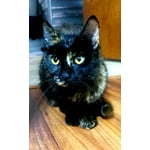 Image 3 of customer photos