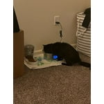 Image 6 of customer photos