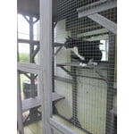 Image 4 of customer photos