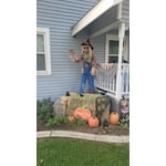 Image 2 of customer photos