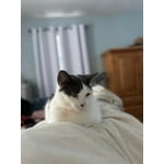 Image 6 of customer photos