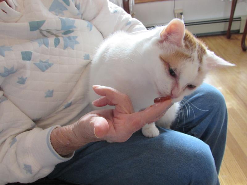 hairball medicine for cats walmart