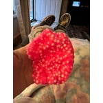 Image 2 of customer photos