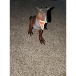 Image 6 of customer photos