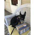 Image 1 of customer photos