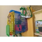 Image 2 of customer photos