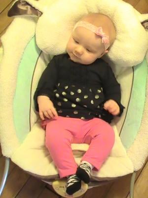 my little lamb infant seat