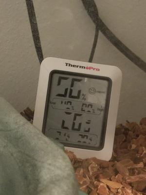  ThermoPro TP50 3 Pieces Digital Hygrometer Indoor