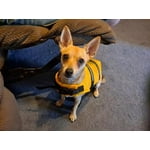 Image 5 of customer photos