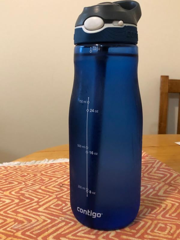 Contigo AUTOSEAL Cortland 32 oz. Water Bottle, Monaco – Walmart