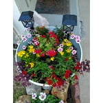 Image 1 of customer photos