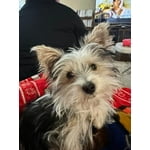 Image 6 of customer photos