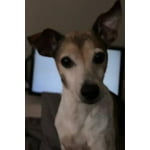 Image 3 of customer photos