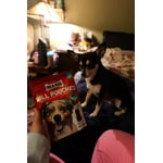 Image 6 of customer photos