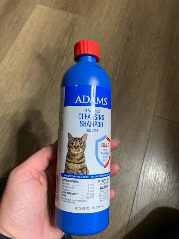 Kitten flea shampoo walmart best sale