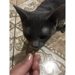 Image 5 of customer photos