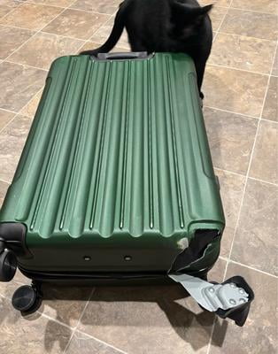Customer reviews for Zimtown 3 Piece Nested Spinner Suitcase